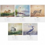 Тетрадь 12л., клетка ArtSpace &quot;Природа. Wild animal&quot;