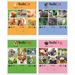 Тетрадь 24л., клетка BG &quot;InstaFun&quot;, эконом