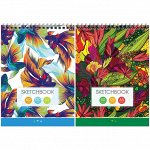 Скетчбук-блокнот для эскизов и зарисовок 60л. А5 на гребне ArtSpace &quot;Imagination&quot;, 120г/м2