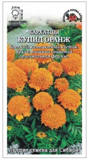 Цветы Бархатцы Купид Оранж ЦВ/П (СОТКА) 0,1гр однолетник прямостоячие 30-35см