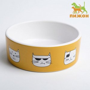 Миска керамическая "Опасные коты" 230 мл  12,5 x 4,5 cм, бело-оранжевая 9214850