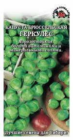 Капуста Брюссельская Геркулес /Сотка/ 0,3 г