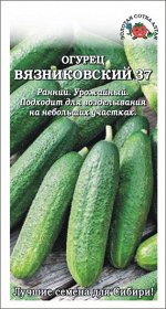 Огурец Вязниковский /Сотка/ 0,5 г