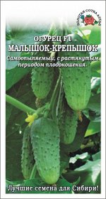 Огурец Малышок Крепышок /Сотка/ 7 шт /сам.рн.7-8см/
