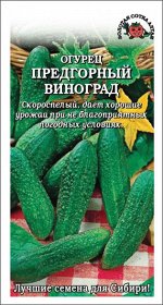 Огурец Предгорный виноград /Сотка/ 0,5 г /рн.9-11см/