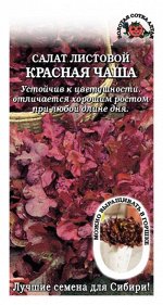 семена
