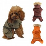 Одежда для собак-9: красивые и практичные аксессуары ✪ Зима