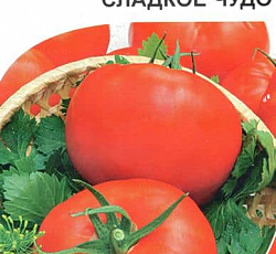 сорт томата сладкое чудо
