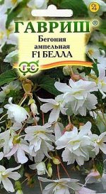 Бегония Белла F1 (ампельная)