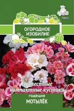 Годеция Контрастная Мотылек