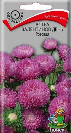 Астра Валентинов день Розовая ЦП