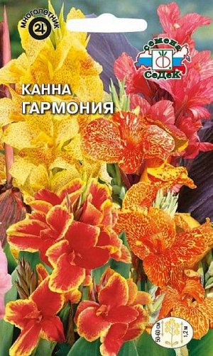 Канна Гармония