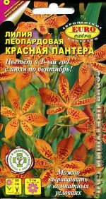 Лилия Леопардовая Красная пантера