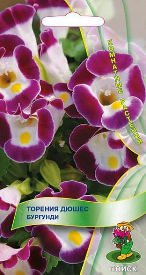 Торения Дюшес