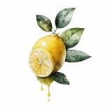 Эфирное масло  Лимона Citrus limon 5 мл.