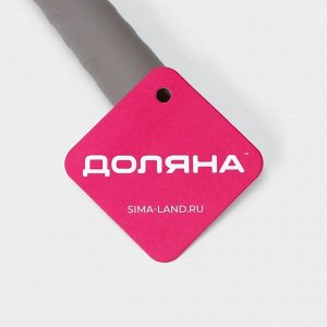 Щётка для окон Доляна «Элит», целлюлозная губка 21x4 см, поворотный силиконовый водосгон 27.5, 28x34x6 см, МИКС