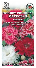 Гвоздика китайская Махровая смесь /Сотка/ НОВИНКА! однолетник