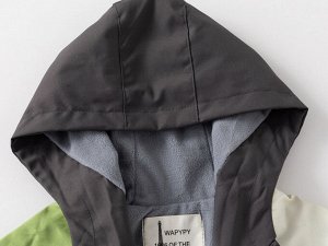 WAPYPY Куртка для мальчика, цвет темно-серый/зеленый, принт "Динозаврик"