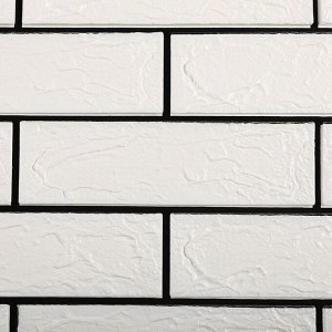 Baizheng 3D панель