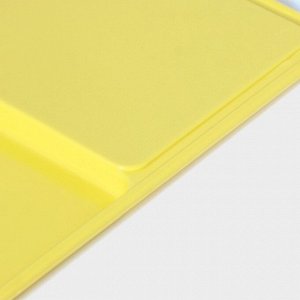 Доска разделочная с лотком Доляна «Симплекс», 43x22x2 см, цвет МИКС