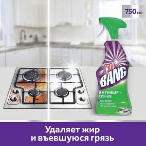 СИЛЛИТ БЭНГ Анти-Жир + Сияние 450, Cillit Bang