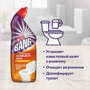 СИЛИТ БЭНГ для туалета Свежесть Цитруса 450, Cillit Bang