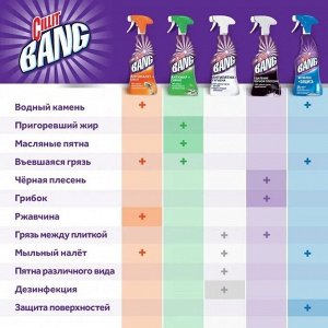 СИЛЛИТ БЭНГ чистящее средство АНТИЖИР спрей 750, Cillit Bang