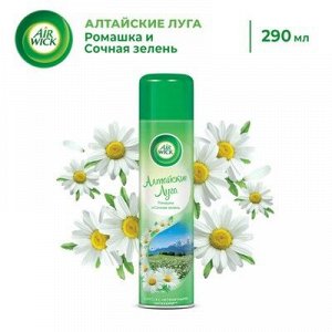 ЭИРВИК Освежитель воздуха Алтайские луга (Ромашка и Сочная зелень) 290, Airwick