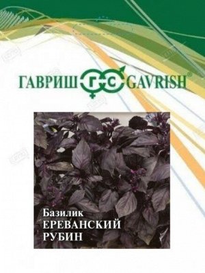 Пряность Базилик 10гр фиолетовый Ереванский рубин ЦВ/П (ГАВРИШ) скороспелый