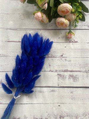Лагурус цвет синий 65 см