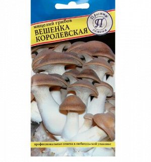 Мицелий грибов Вешенка королевская, 12 шт