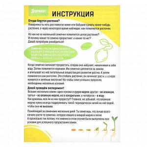 Набор для опытов «Экоферма», своими руками