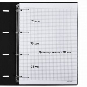 Тетрадь на кольцах БОЛЬШАЯ А4 (240х310 мм), 120 л., под кожу, BRAUBERG VISTA, "Туман", 404515