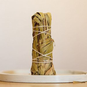 Эвкалипт Скруткой эвкалипта можно чистить камни, браслеты после покупки.
Эвкалипт замечательно работает, когда надо восстановится после стресса, почувствовать почву под ногами, обрести уверенность.
Ко