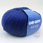 ASIAN 13995