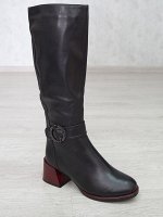 Сапоги женские зимние GERONEA B605-1