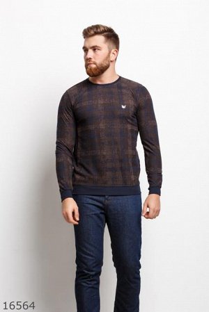 Мужской пуловер 16564 коричневый принт