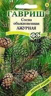 Сосна Ажурная ЦВ/П (ГАВРИШ) 0,2гр дерево до 40м