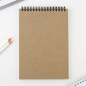Скетчбук А5, 40 л 100 г/м2 «Котозарисовки»