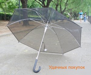 Зонт прозрачный. Цвет: черный