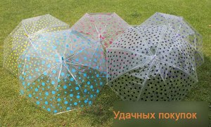 Зонт. Цвет: прозрачный в синий горошек