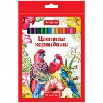 Карандаши &quot;Птицы&quot; 18цв., заточен., картон. уп., европодвес