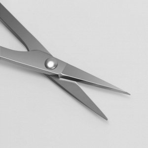 Ножницы маникюрные, с колпачком-пилкой, прямые, 9,6 см, цвет серебристый/серый