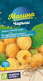 Ягода Малина Чарыш желтая/Сем Алт/цп 0,03 гр. НОВИНКА