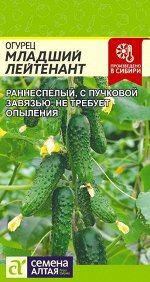 Огурец Младший Лейтенант F1/Сем Алт/цп 5 шт.