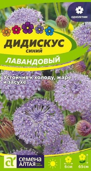 Цветы Дидискус лавандовый/Сем Алт/цп 0,1 гр.