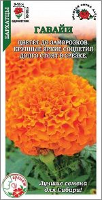 Цветы Бархатцы Гавайи ЦВ/П (СОТКА) 0,2гр однолетник 80-90см