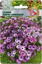 Остеоспермум Санни Парпл Биколор, 5 шт.