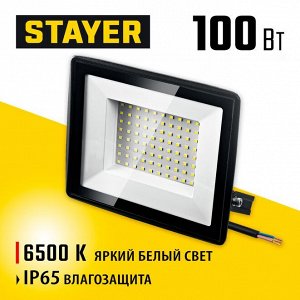 STAYER   100Вт Светодиодный прожектор LED-MAX
