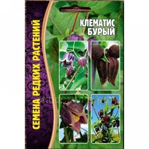 Клематис Бурый (Редкие), 5 шт